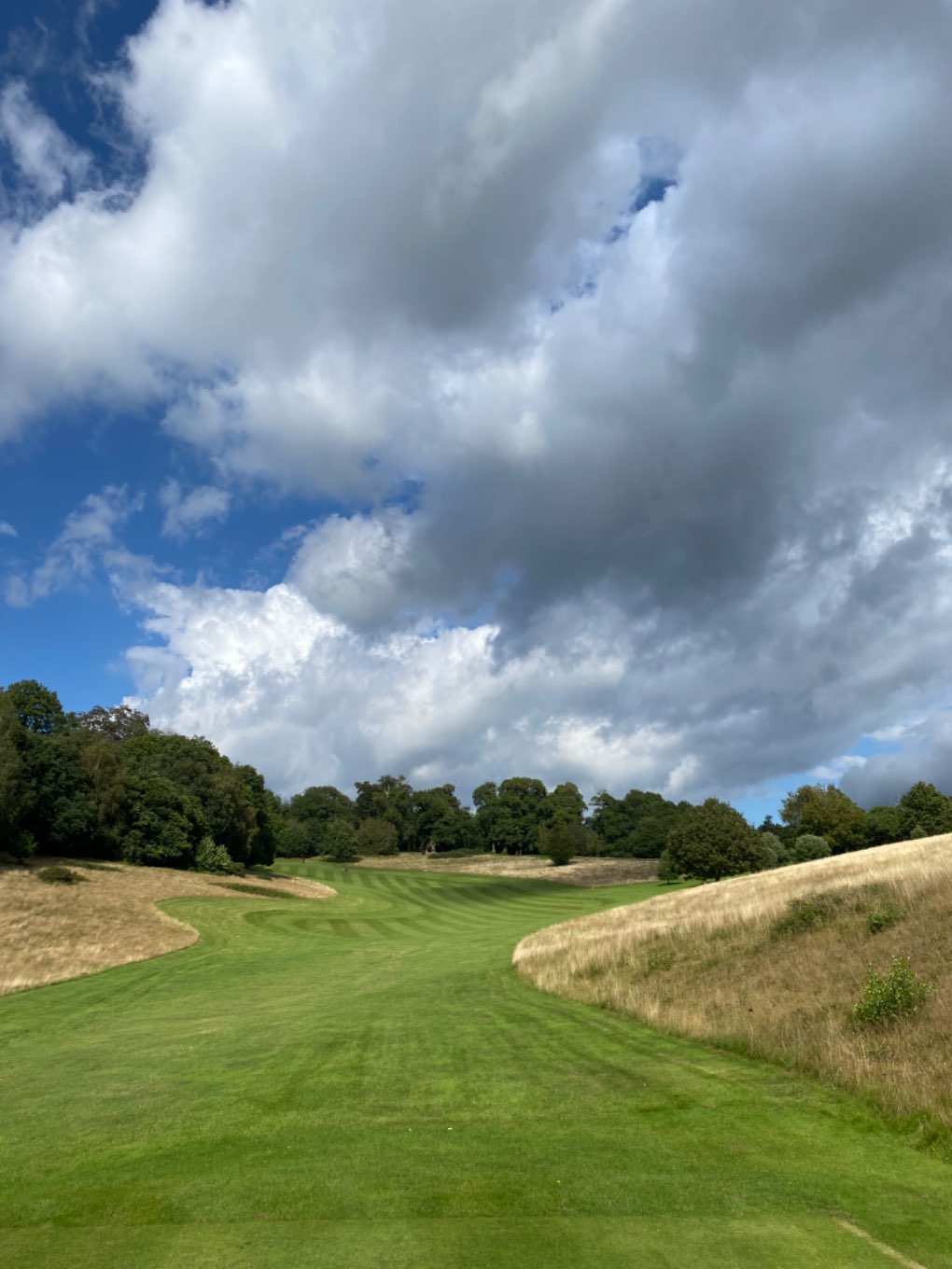 Midhurst, , Very warm and humid at Cowdray Park golf club...