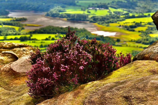 leek, staffordshire, The Roaches , overlooking Tittesworth reservoir....