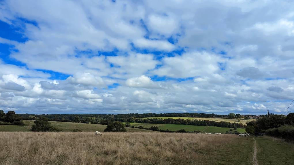 Berkhamsted, Herts, Blustery but bright September afternoon...
