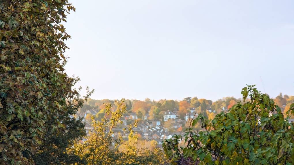 Berkhamsted, , Autumn days. Nice colours on display....
