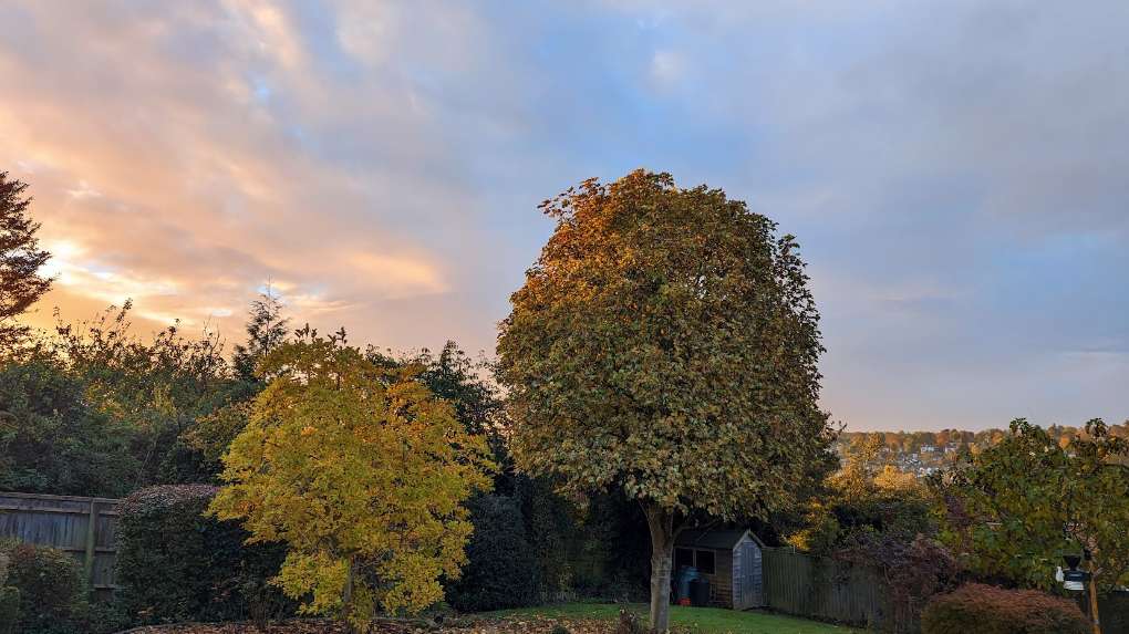 Berkhamsted, , Vibrant autumn colours on display...