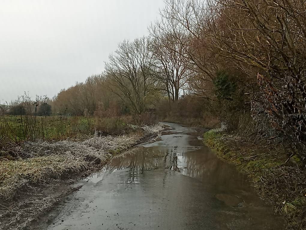 Langport, Somerset, ...