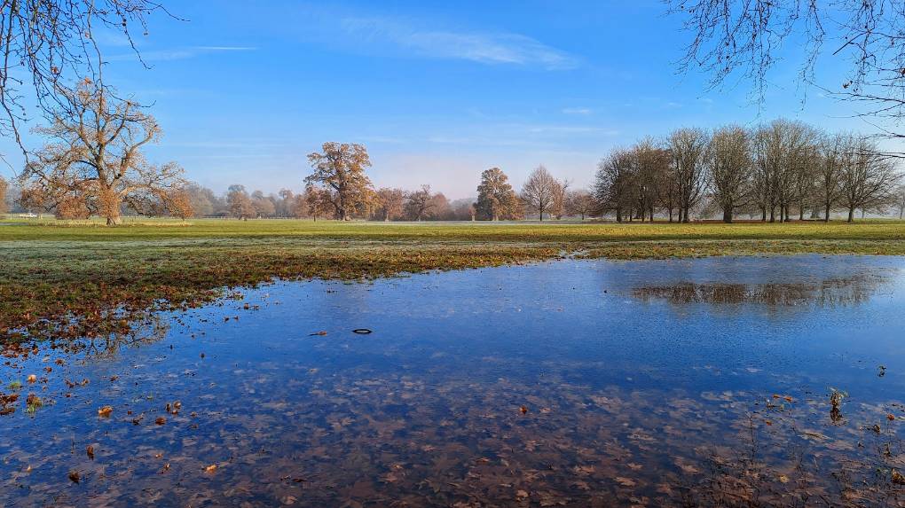 Blenheim Palace grounds on a frosty December day. Posted by Brian Gaze