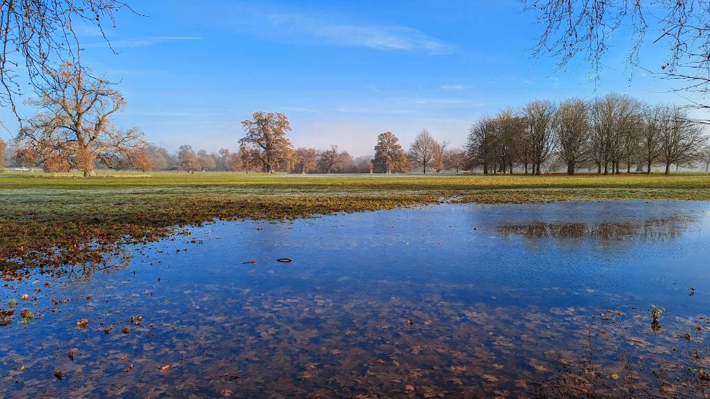 Blenheim Palace, , Blenheim Palace grounds on a frosty December day...