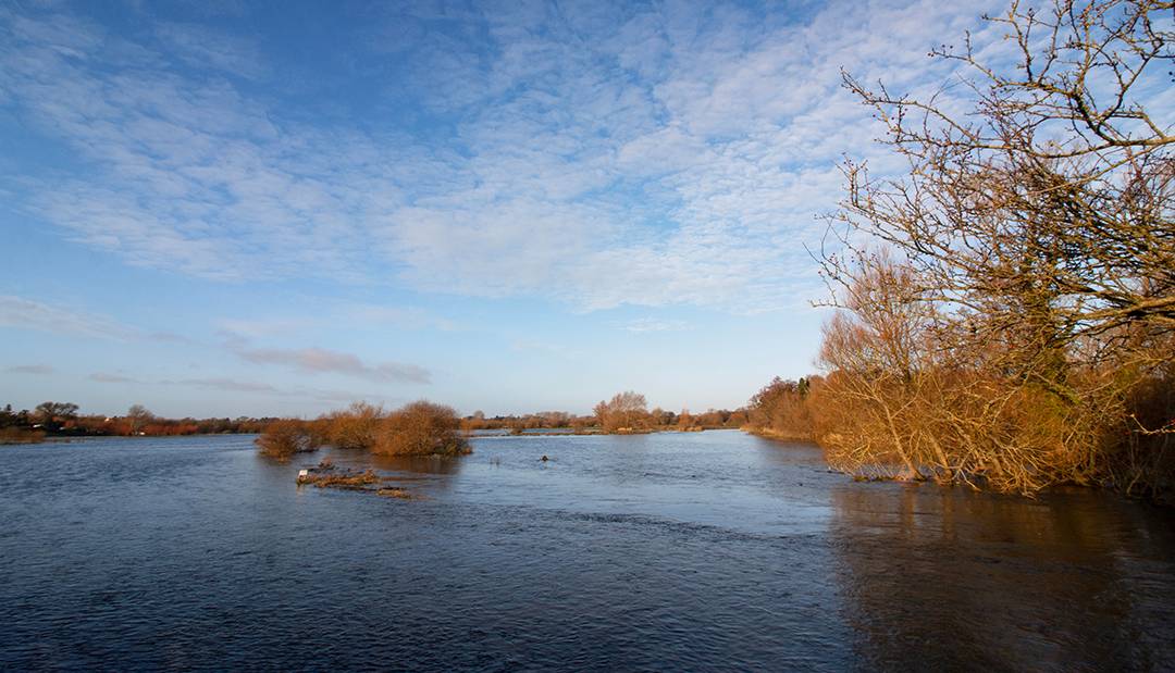 Wool, Dorset, Plenty of water for now - River Frome in flood...