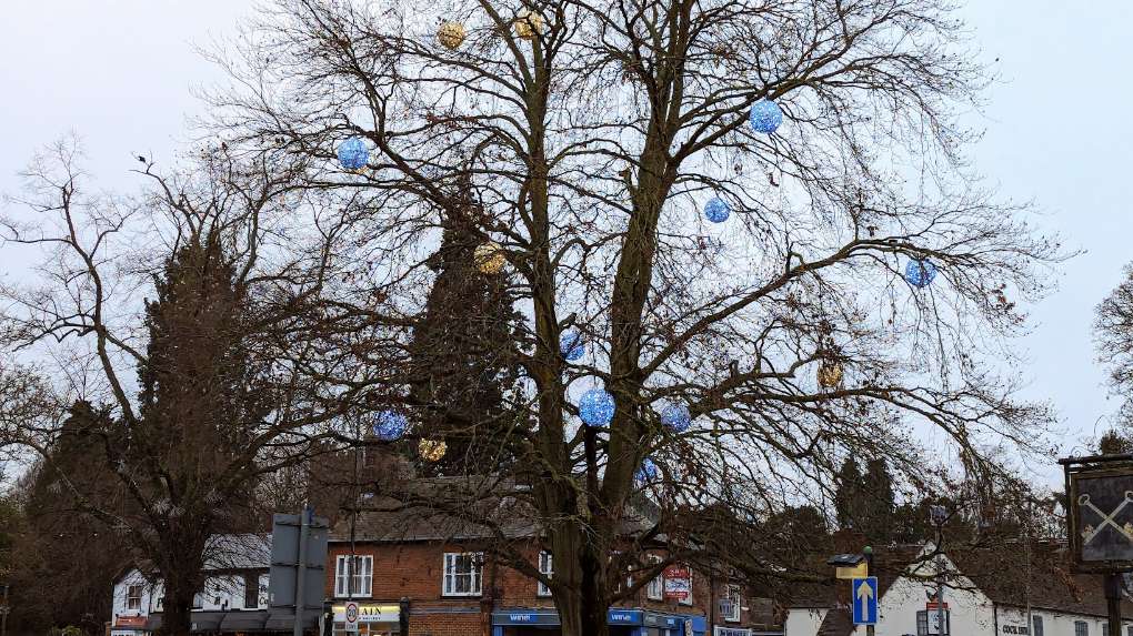 , , Overcast December day in Harpenden...