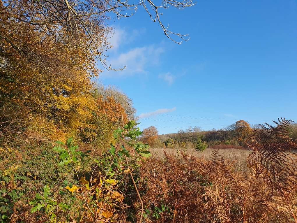 Cardiff, Cardiff, Mild late autumn...