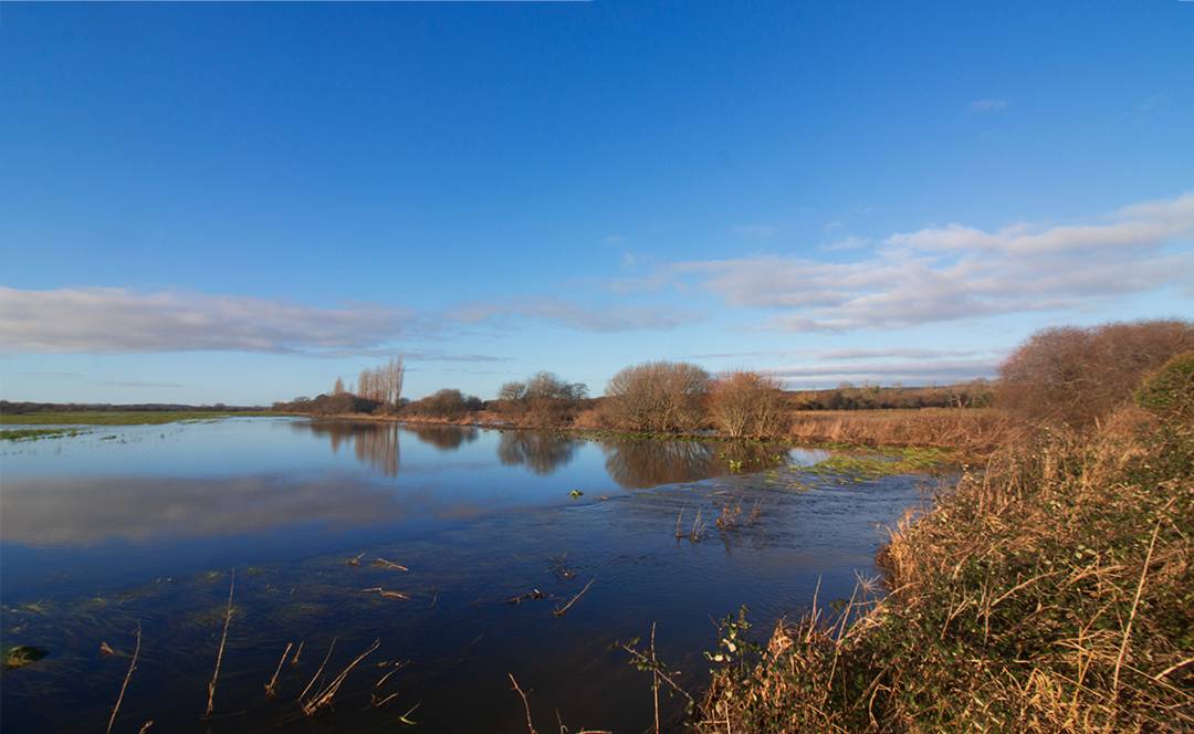 Tincleton, Dorset, Tincleton Floods...