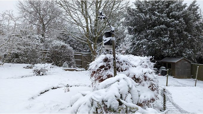 Snow in Berkhamsted, December 2022. Posted by Brian Gaze