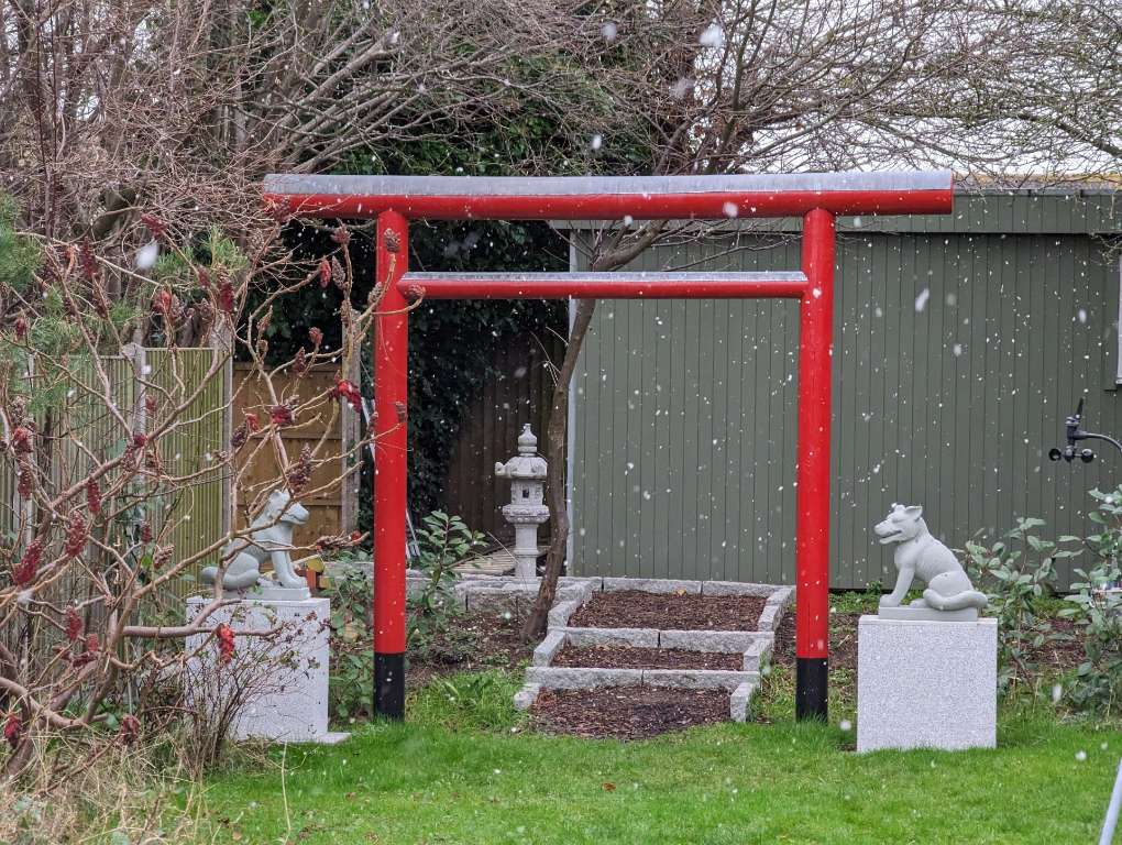 Leysdoen, Kent, Large flakes of January snow, falling in my garden in Leysdown. ...