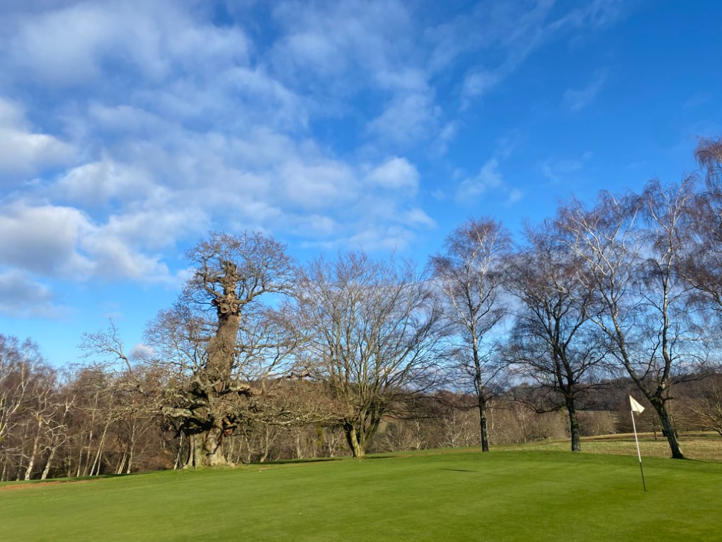 Midhurst, , Benign, beautiful mid winter weather at Cowdray Park, but the breeze is coo...