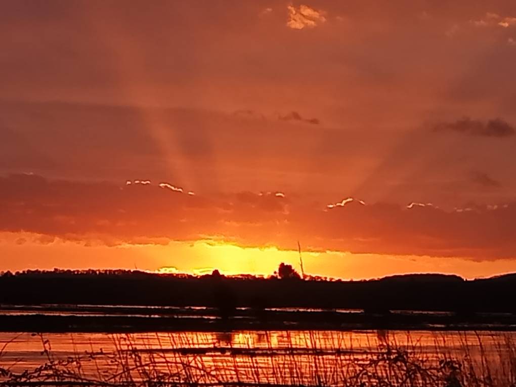 Taunton, Please select..., Sunrise over a frozen flooded Currymoor ...