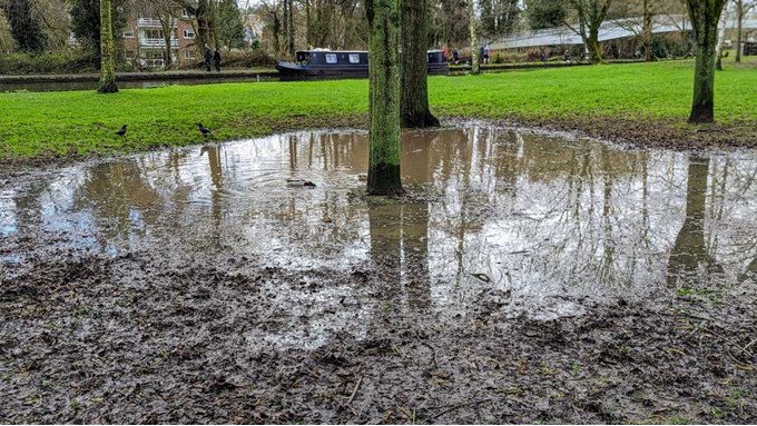 A new pond? Posted by Brian Gaze