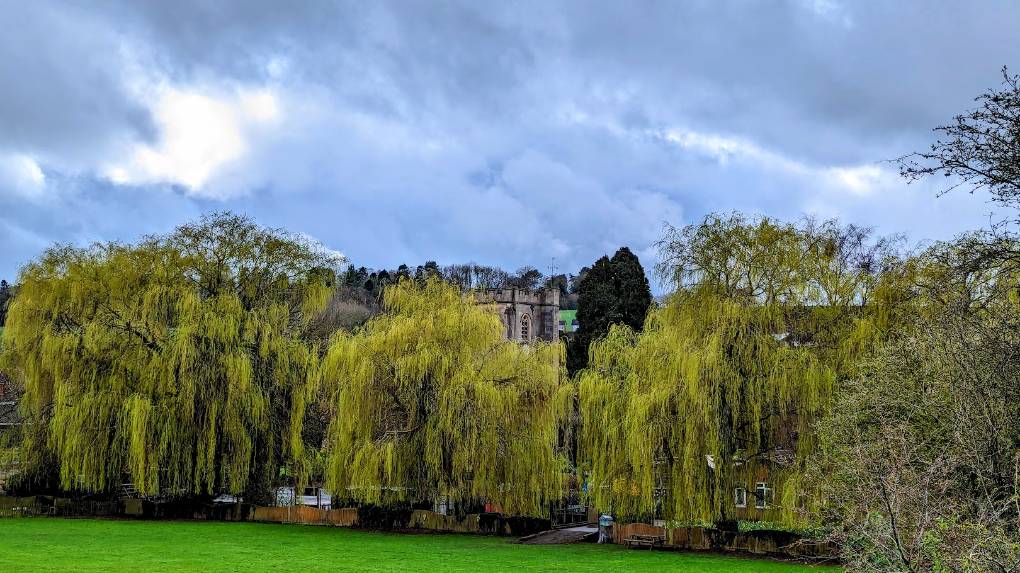 Berkhamsted, Herts, Willow trees providing a nice contrast with the overcast sky....