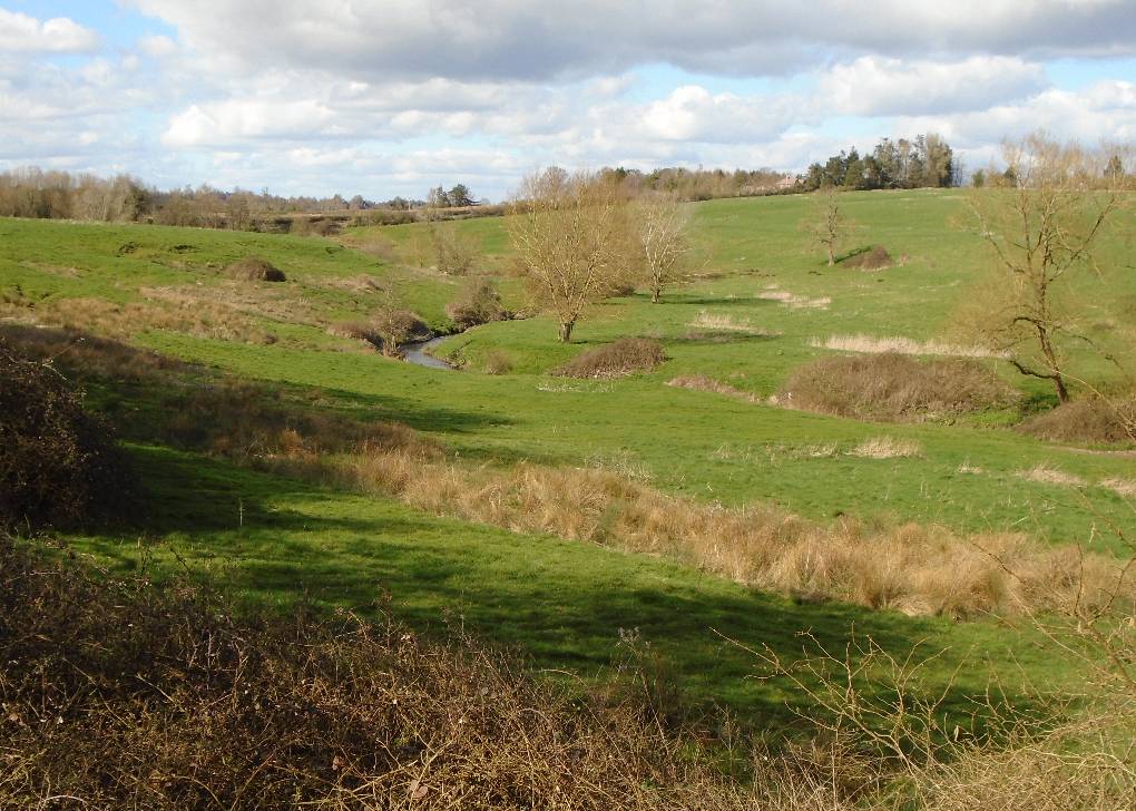 Calne, Wilts, Sunday afternoon stroll on Railway Path: how very English. 24 Mar 24...