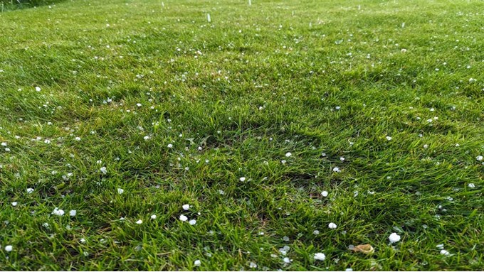 April shower with hail and thunder. Posted by Brian Gaze