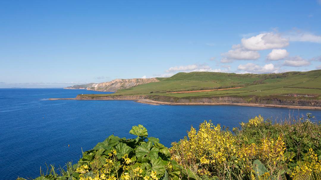 Kimmeridge, Dorset, Kimmeridge Bay...