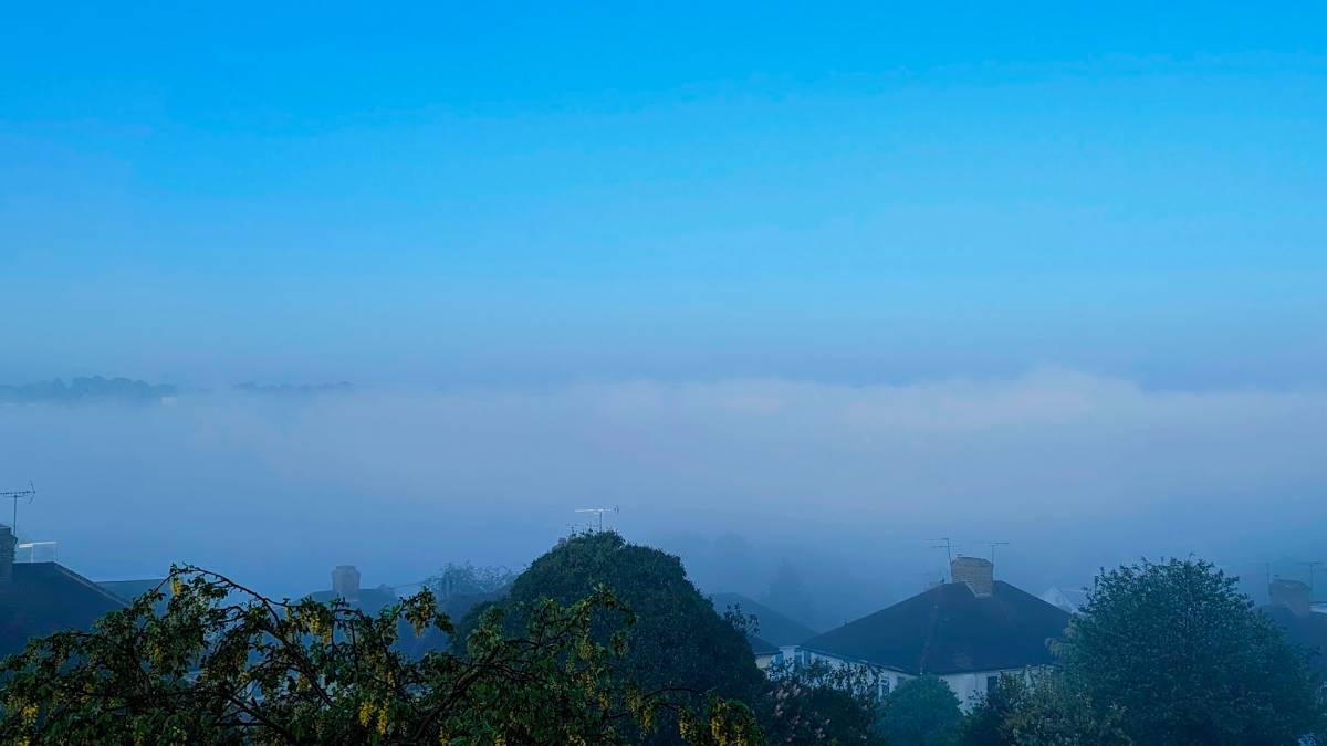 Berkhamsted, Herts, Early morning mist in the Bulbourne Valley...