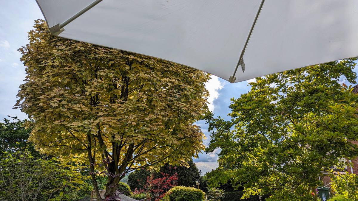 Berkhamsted, Herts, A thundery feel to the weather in Berkhamsted ...