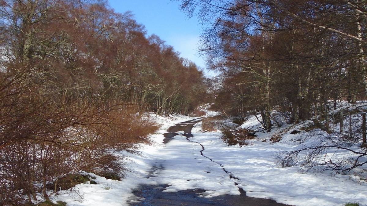 Carrbridge, Inverness, Old road by A9 near Slochd, 7 May 21....