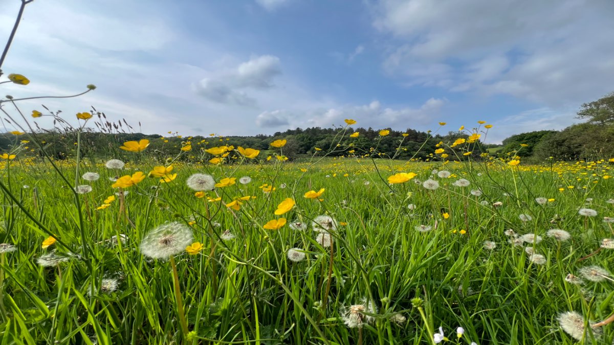 leek, staffordshire, Warm sushine but another deluge incoming....