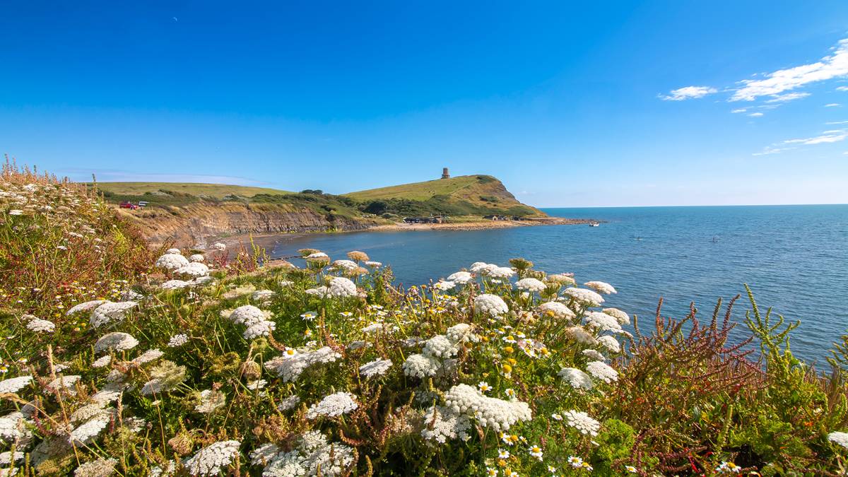 Summers Day. Posted by JurassicCoast