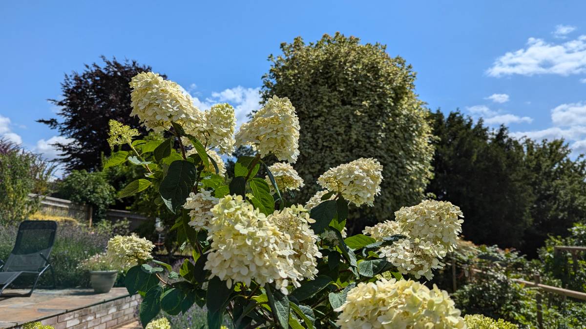 , , Fine July afternoon. ...