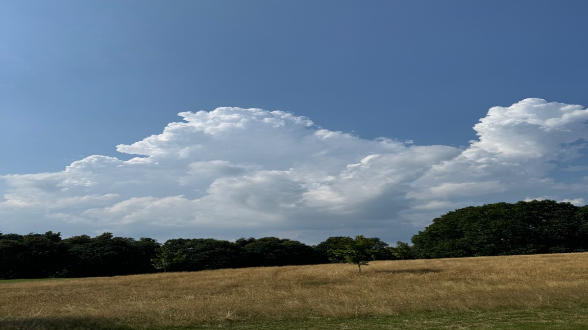 Midhurst, West Sussex, Distant thunder - Cowdray Park Golf Club...