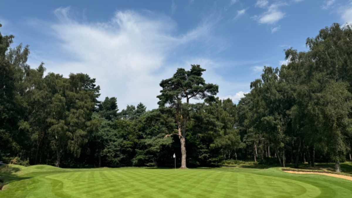 Milton Keynes, , Tropical heat at Woburn golf club, but thunder heard close by...