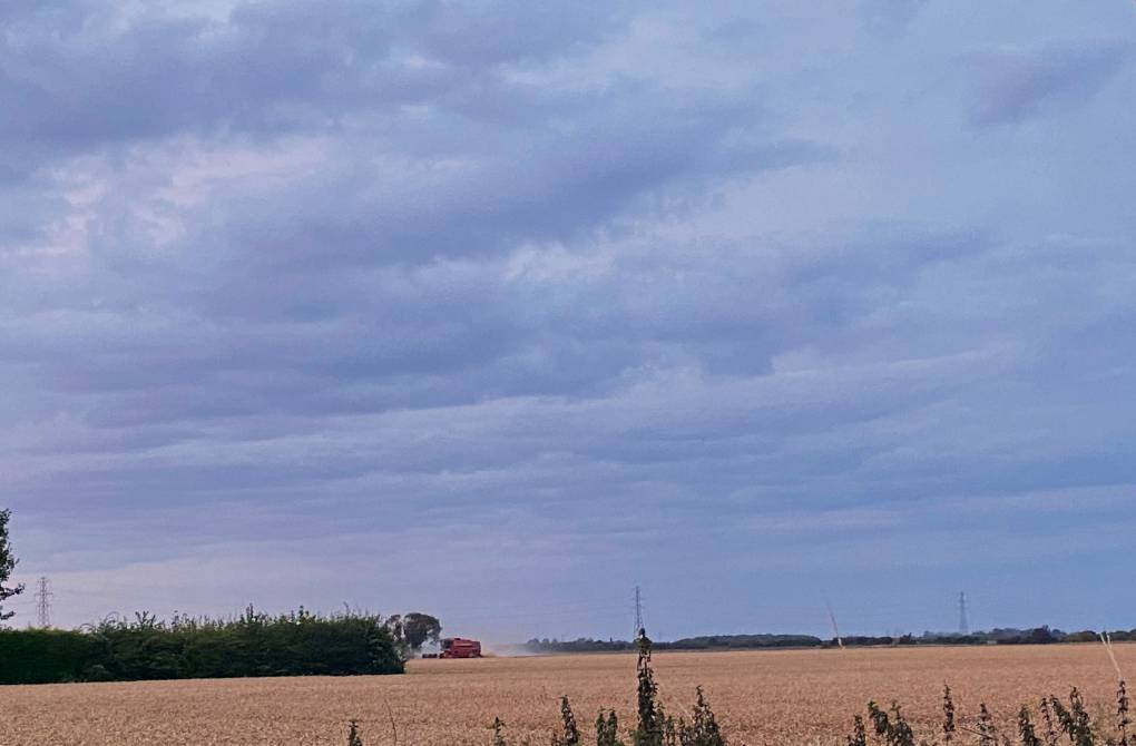 Spalding, Lincolnshire, When the harvest is ready it has to come in. At sunset....