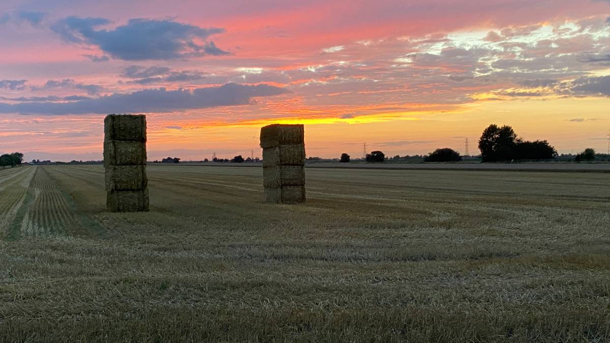 Spalding, Lincolnshire, Still standing after Lilian swept on by. Sunset sentinels....