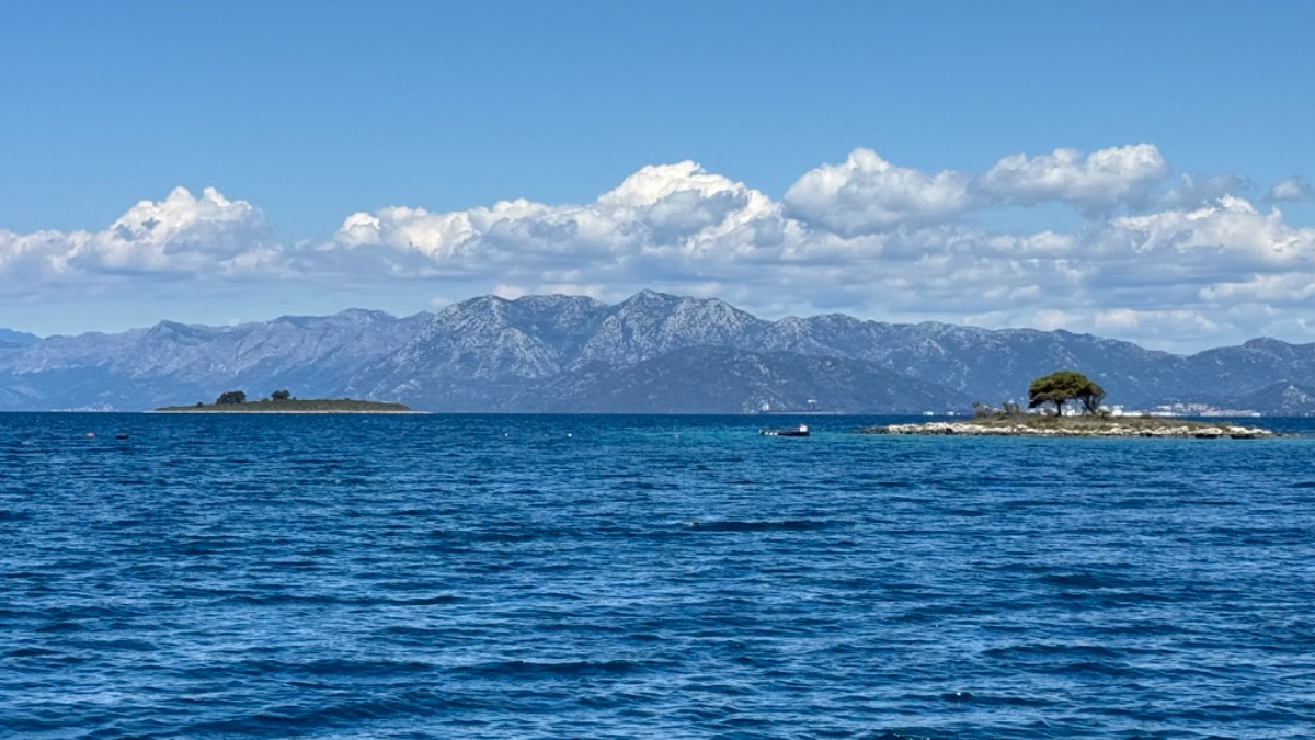 , , Drace, Montenegro. Perfect summer weather and dolphins in the clear blue wa...