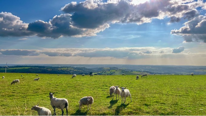 Warm and calm on this afternoons cycle ride. Posted by toppiker60