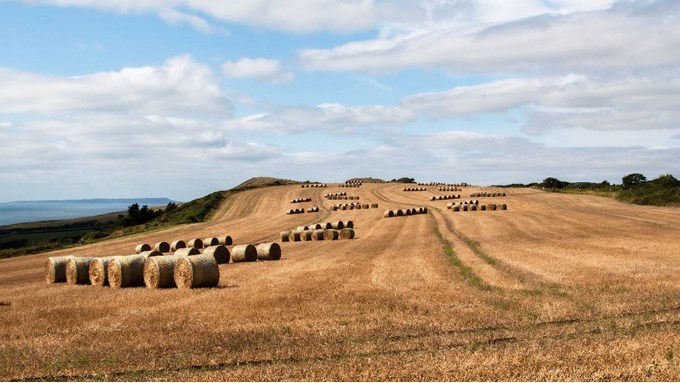 Kimmeridge. Farmer's Art. Posted by JurassicCoast