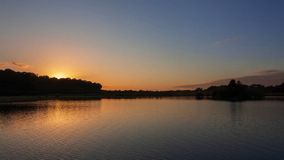 Dorchester, Dorset, Ripples...