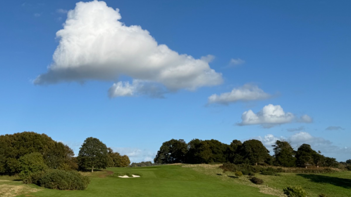 Midhurst, , Absolutely idyllic at Cowdray Park, after the morning deluge...