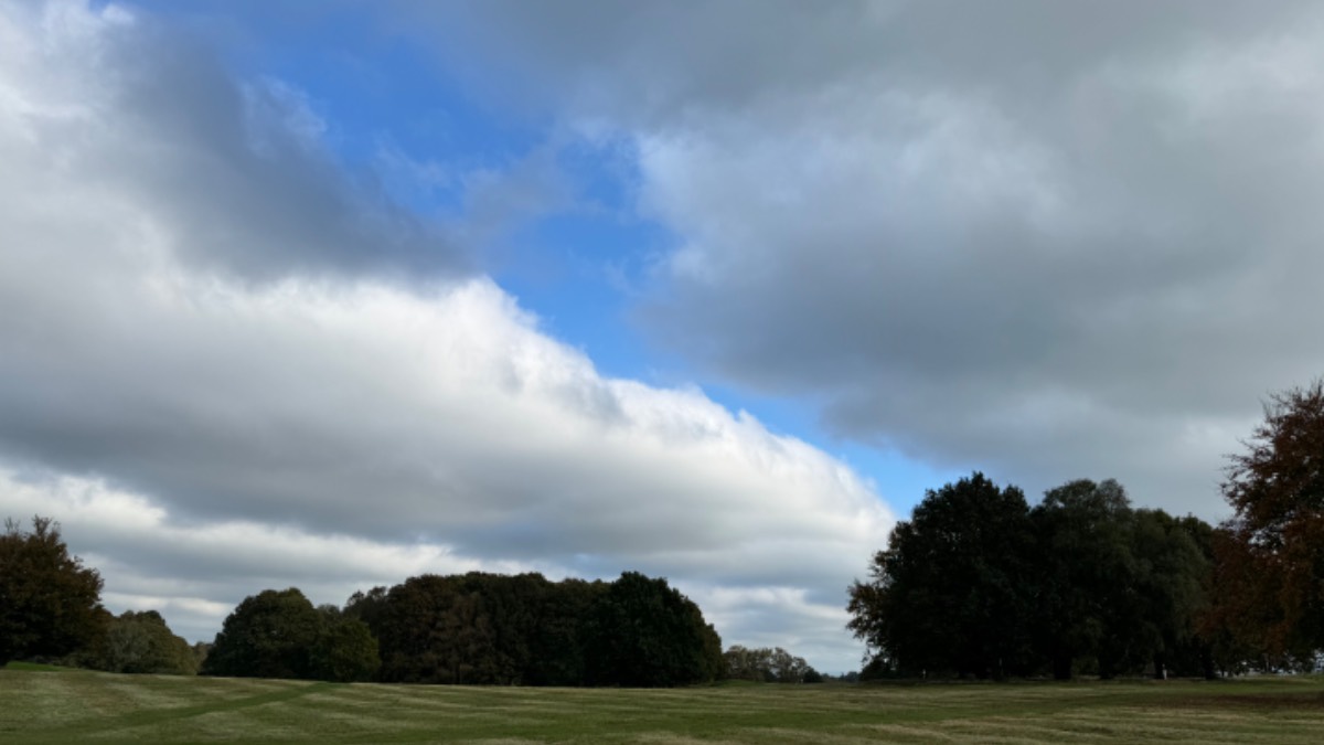 Midhurst, , Perfectly pleasant at Cowdray Park, but well into autumn now...