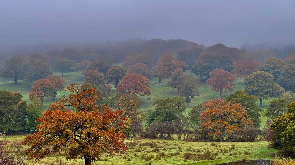 Leek, Staffordshire, Last weeks gloomy weather,looks likely to return....