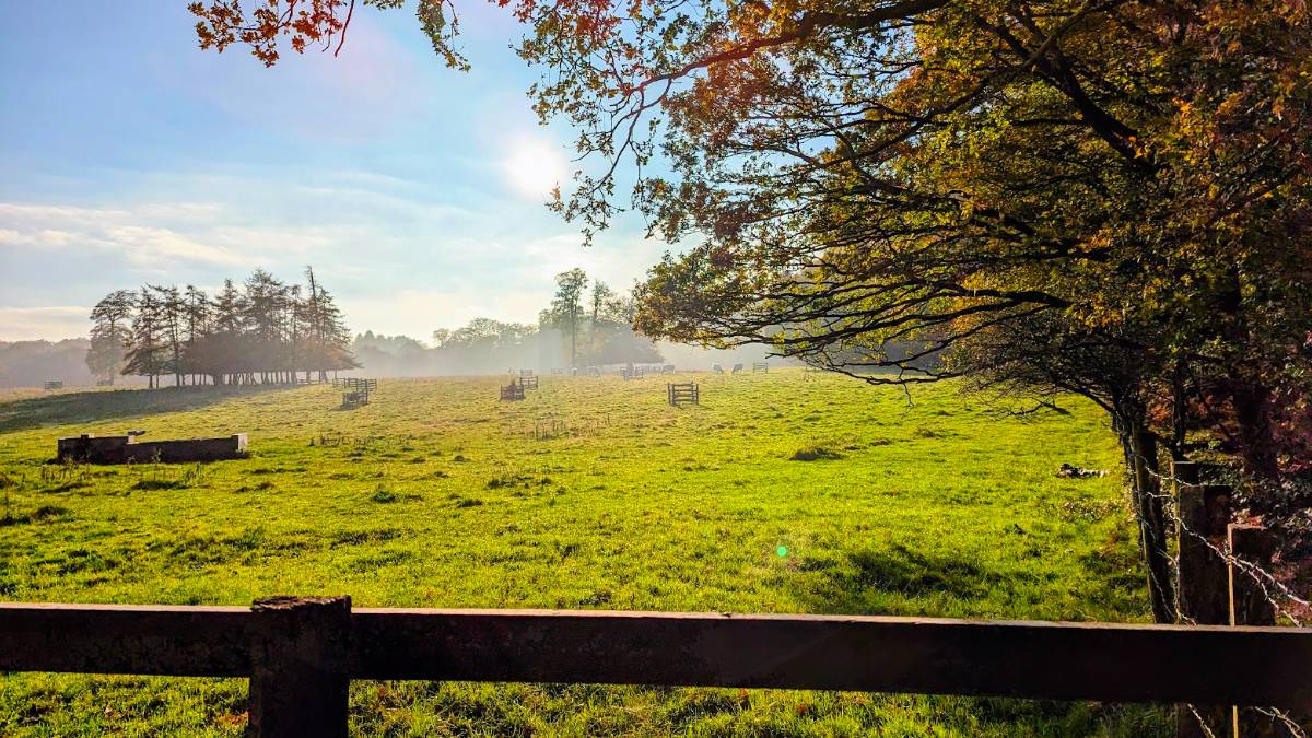 Berkhamsted, Herts, Stunning late October weather in the Chilterns...