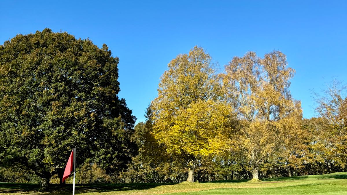 Midhurst, , Again, truly blissful late autumn sunshine at Cowdray, but wrap up later th...