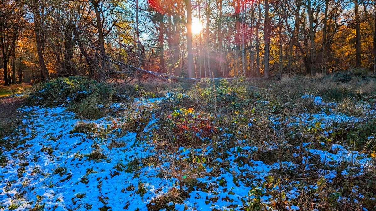 Berkhamsted, Herts, The remains of the snow near Ashridge House ...