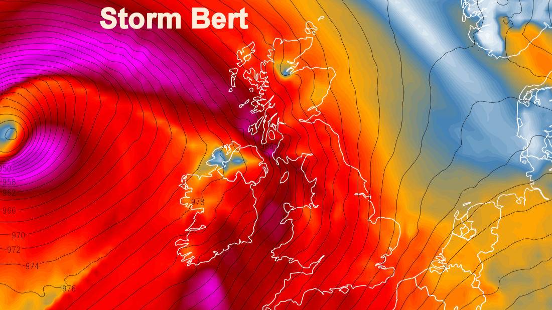 , , Storm Bert...