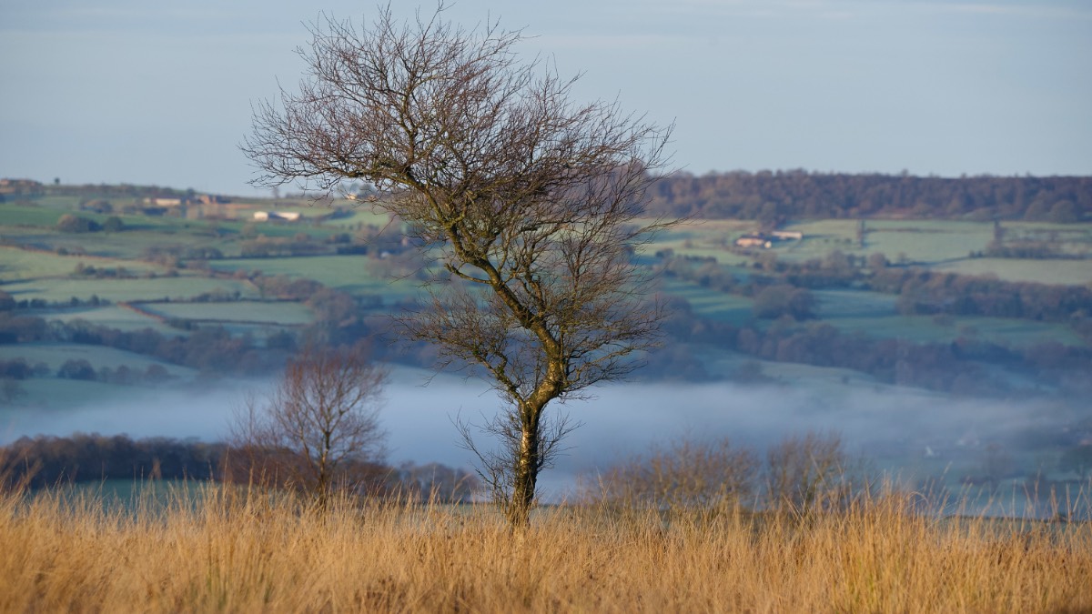 Leek, Staffordshire, Touch of frost and foggy valleys this morning....