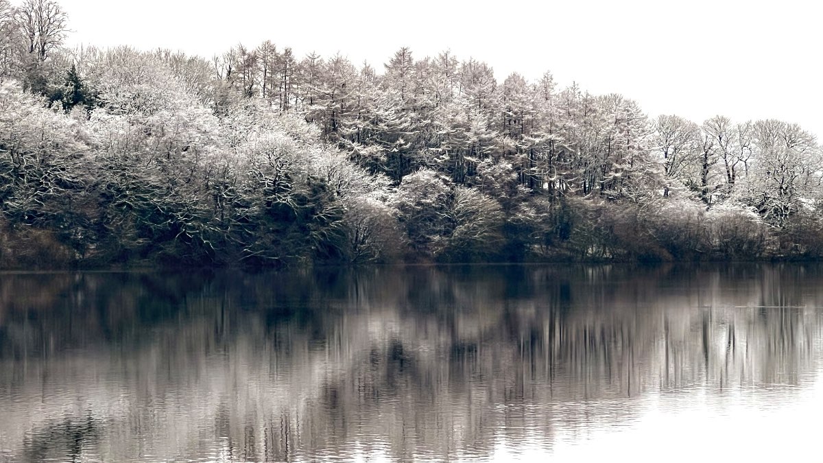 leek, staffordshire, snow covered trees over tittesworth reservoir....