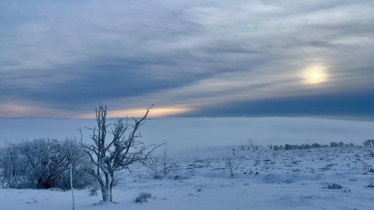 Leek, Staffordshire, winters morning up Gun Moor with deep snow hard frost and fog ....