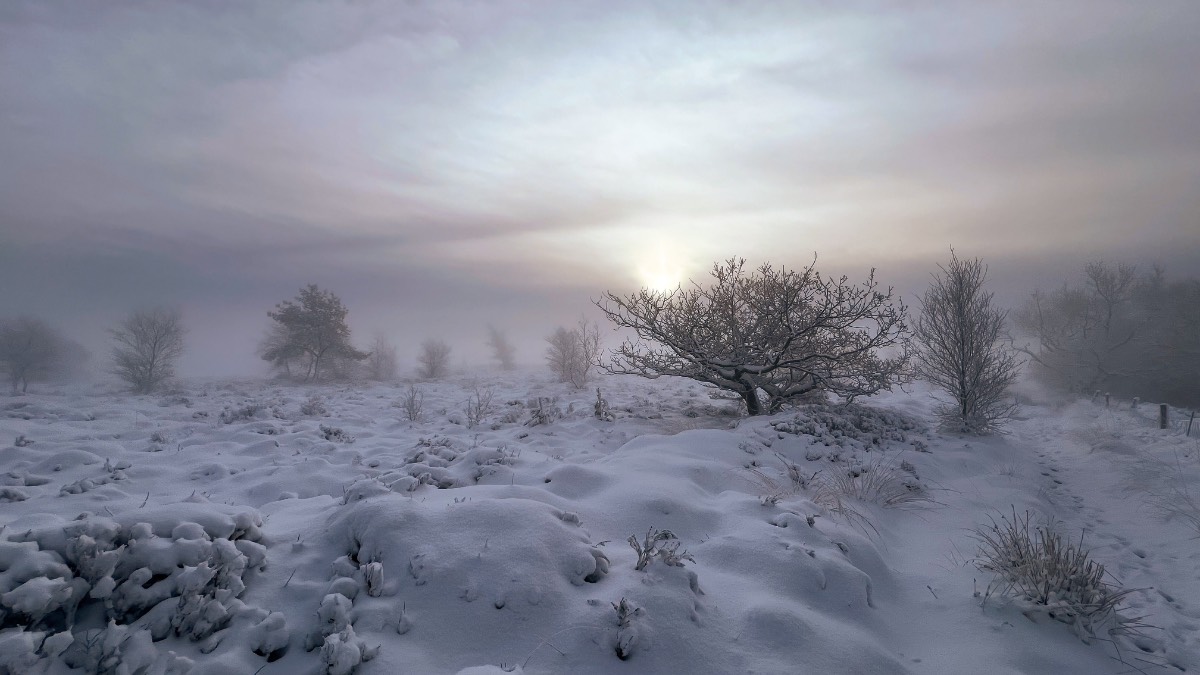 Leek, Staffordshire, Gun Moor looking more like Lapland....