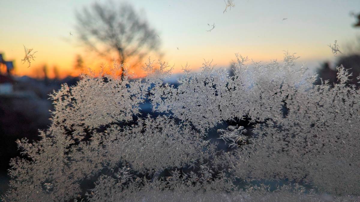 Berkhamsted, Herts, Icy window pane...