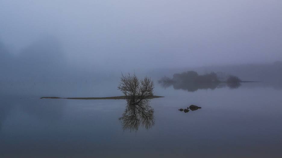 Woodsford, Dorset, Calm...