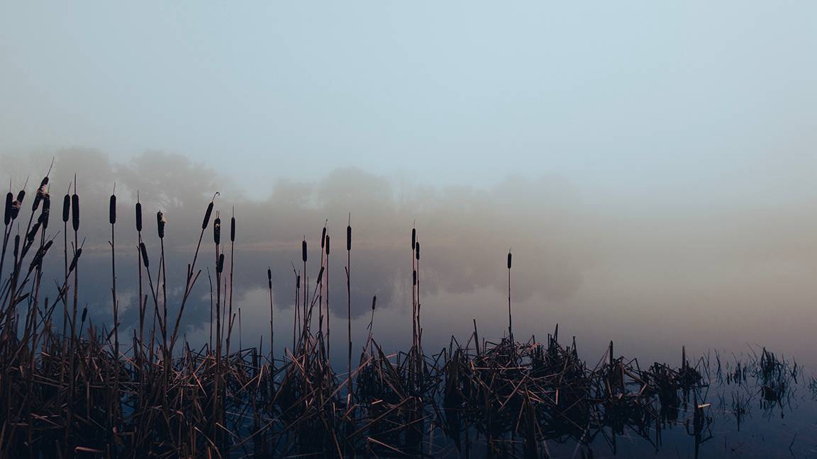 Woodsford, Dorset, Winter Dawn...