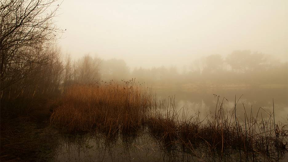 Woodsford, Dorset, Winter Morning...